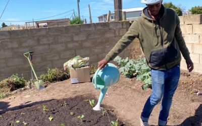 Community and Home Food Gardens