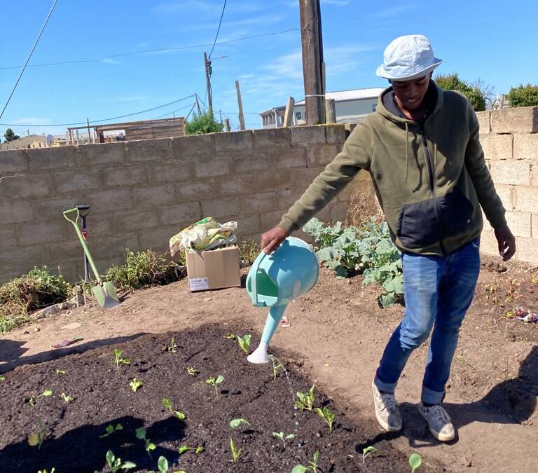 Community and Home Food Gardens