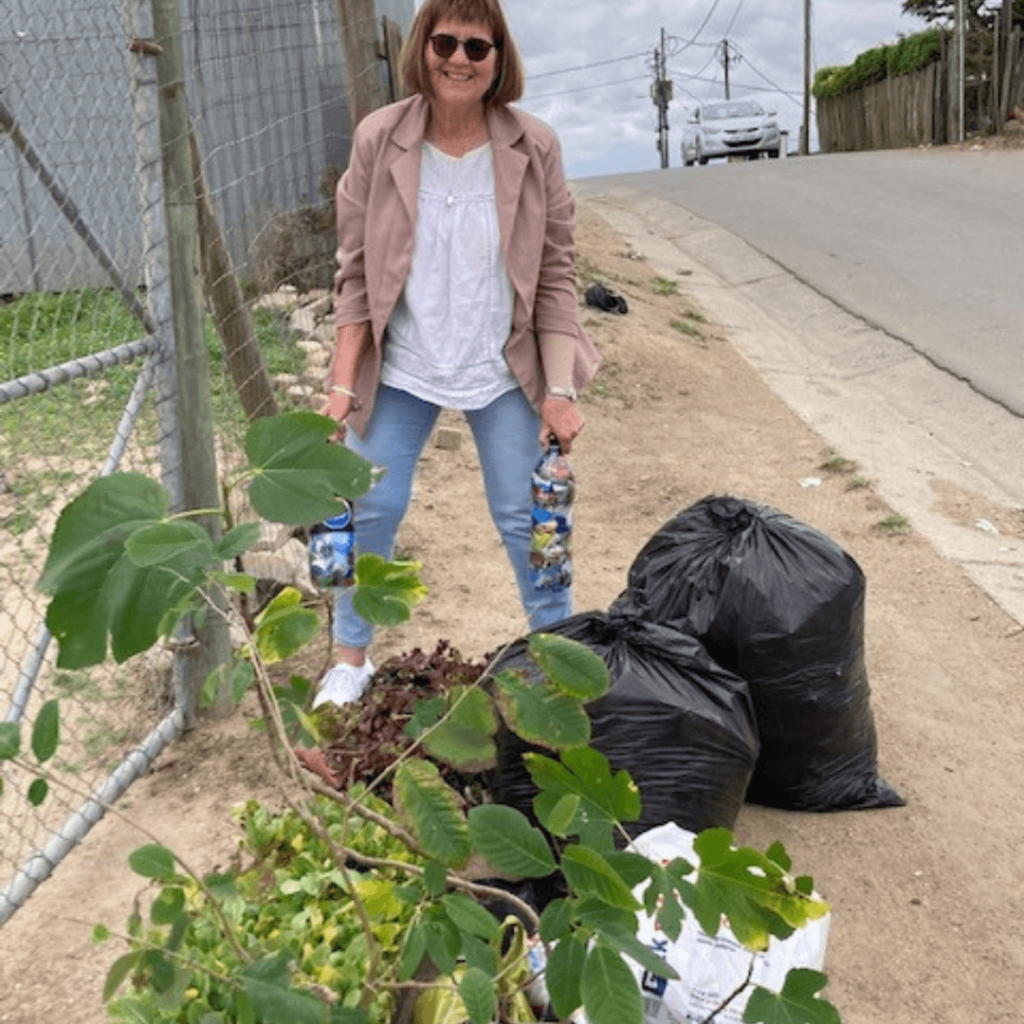 Fig trees and compost 2