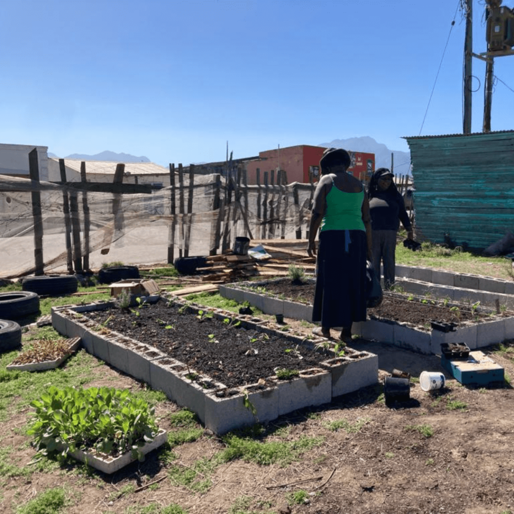 Transforming Society Venture March 2023_6