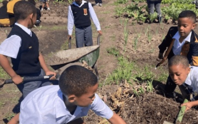 First ‘School Garden’ is Growing