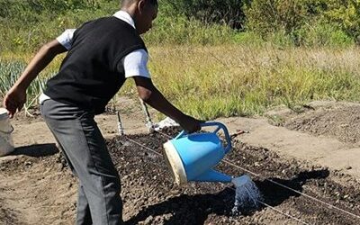 GEORGE HERALD ARTICLE: ‘Garden Classroom’ A Hit Among Learners