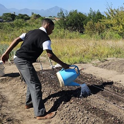 GEORGE HERALD ARTICLE: ‘Garden Classroom’ A Hit Among Learners