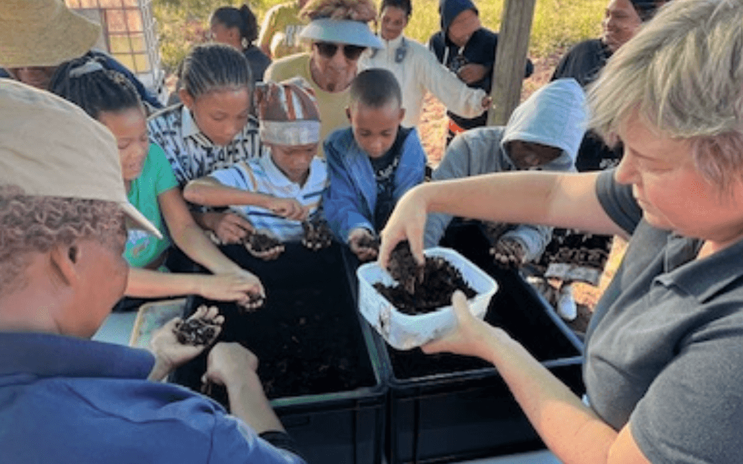 Workshop: Building a Worm Farm in your Food Garden 