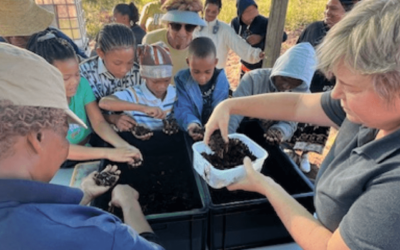 Workshop: Building a Worm Farm in your Food Garden 