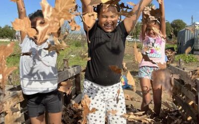 Autumn Garden News