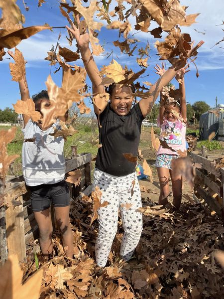 Autumn Garden News