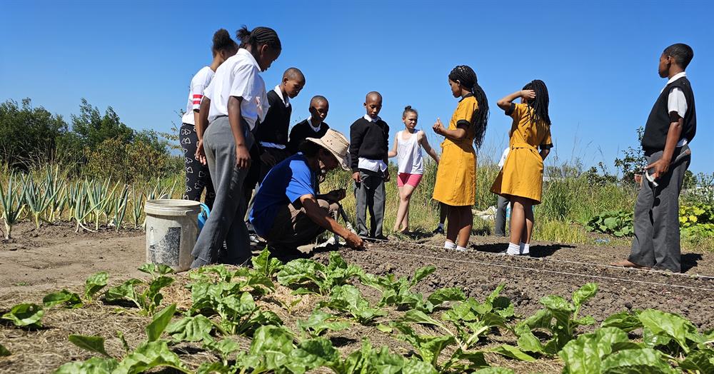 Learning how to grow their own food is one of the skills children learn at Usapho Indlu. Photo Alida de Beer