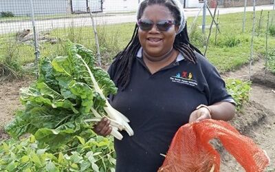 GEORGE HERALD ARTICLE: Neziswa, field director at NGO Usapho Indlu