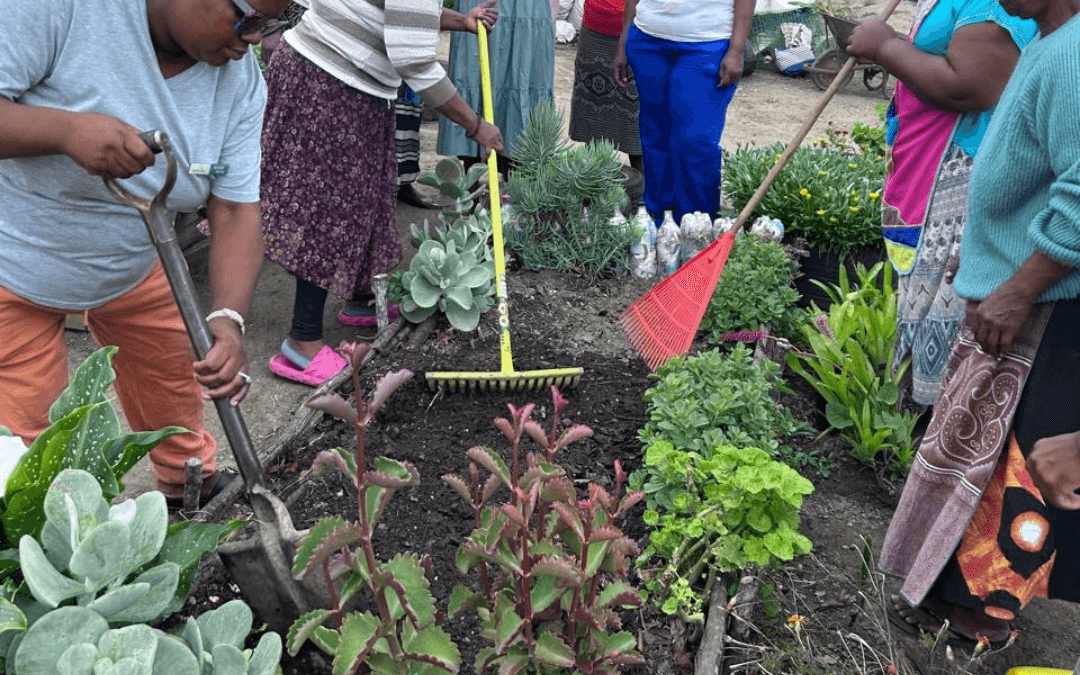 New Households Attend Food Garden Workshop