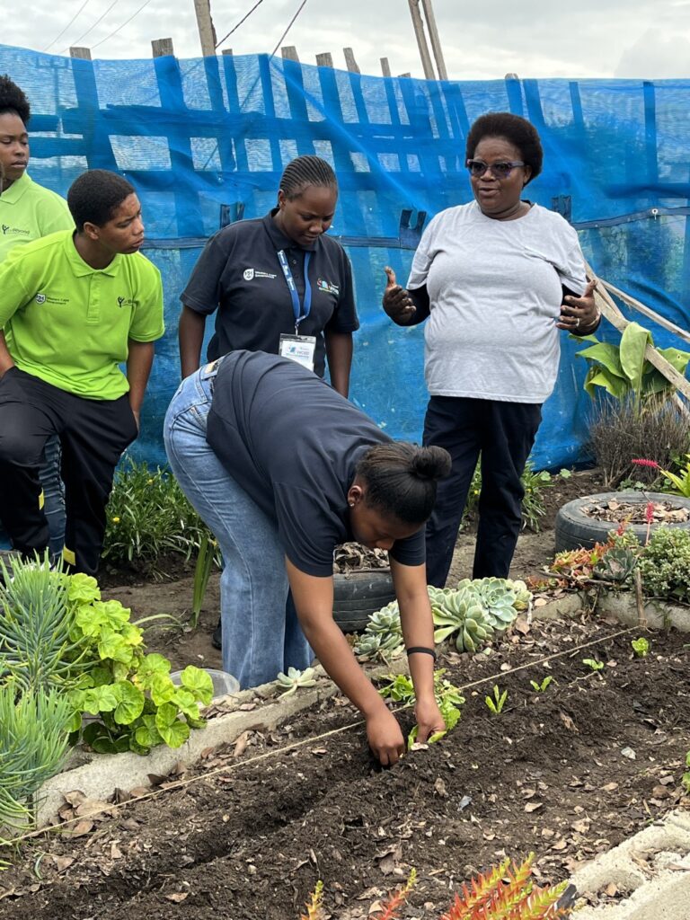 Food gardening is enhancing food security and bringing hope.
