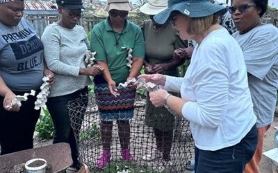 GEORGE HERALD ARTICLE: Usapho Indlu is transforming lives and bringing hope