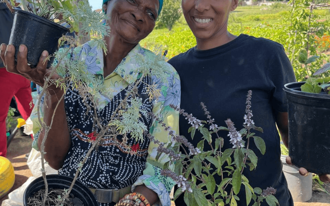 Food Gardening Workshops Blossom