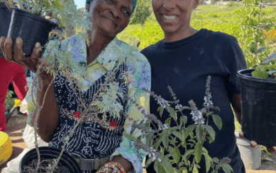 Food Gardening Workshops Blossom