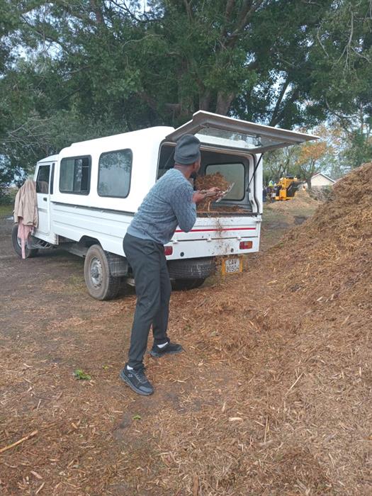 Sizwe Giyo loads in some wood chips. Photo supplied